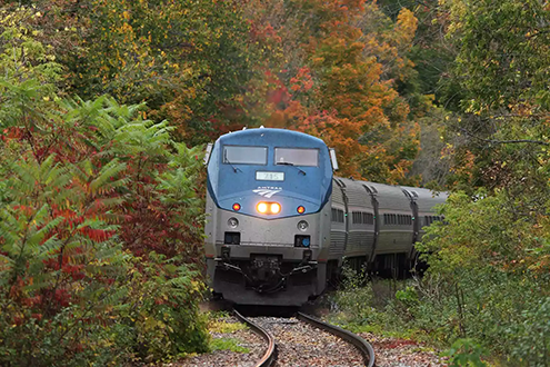 An Amtrak Vermonter train heads toward to camera surrounded by woods.
