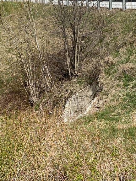 A view of the existing culvert