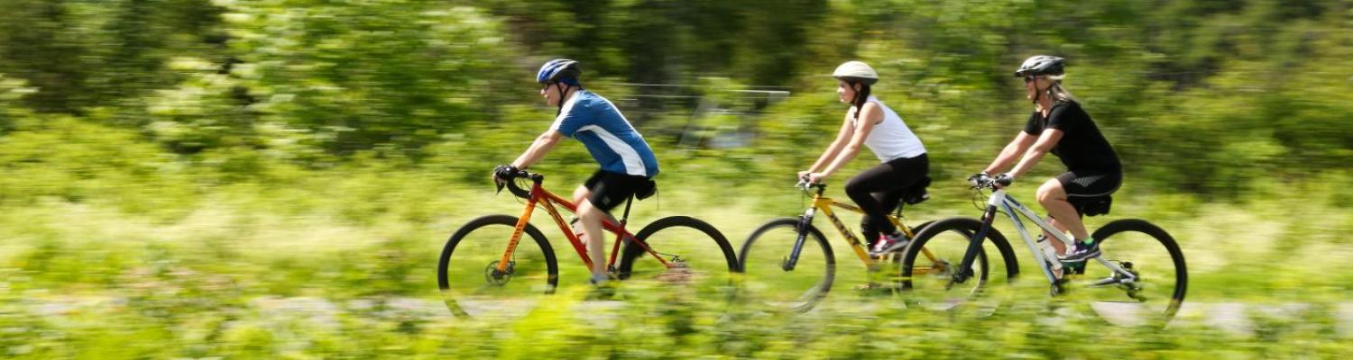 Cyclists glide down a section of the Lamoille Valley Rail Trail