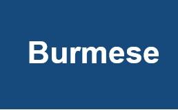 Burmese Title VI ADA Complaint