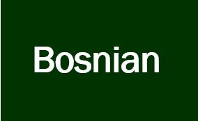 Bosnian Title VI ADA Complaint