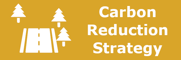 Carbon Reduction Strategy