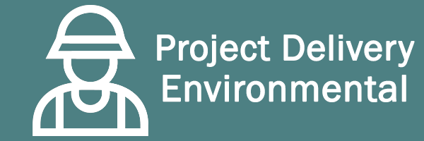 Project Delivery Enviromental